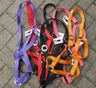 Nylon Slide Buckle Headcollars